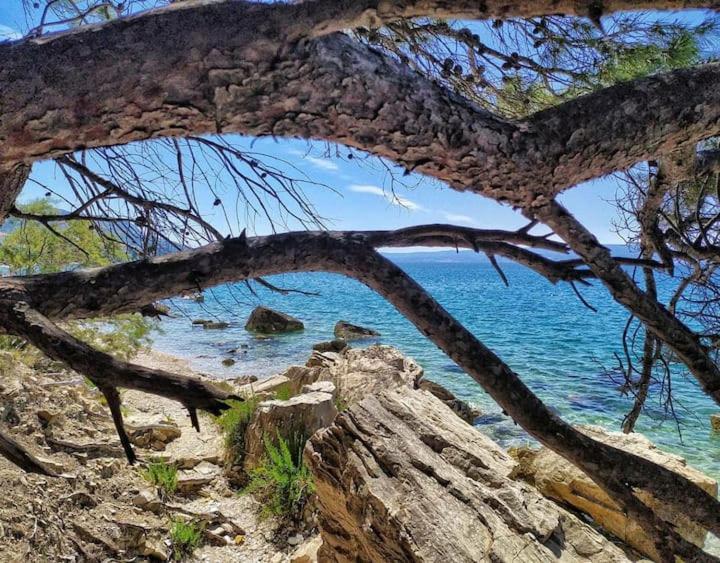 Apartmani Skejic Split Bagian luar foto