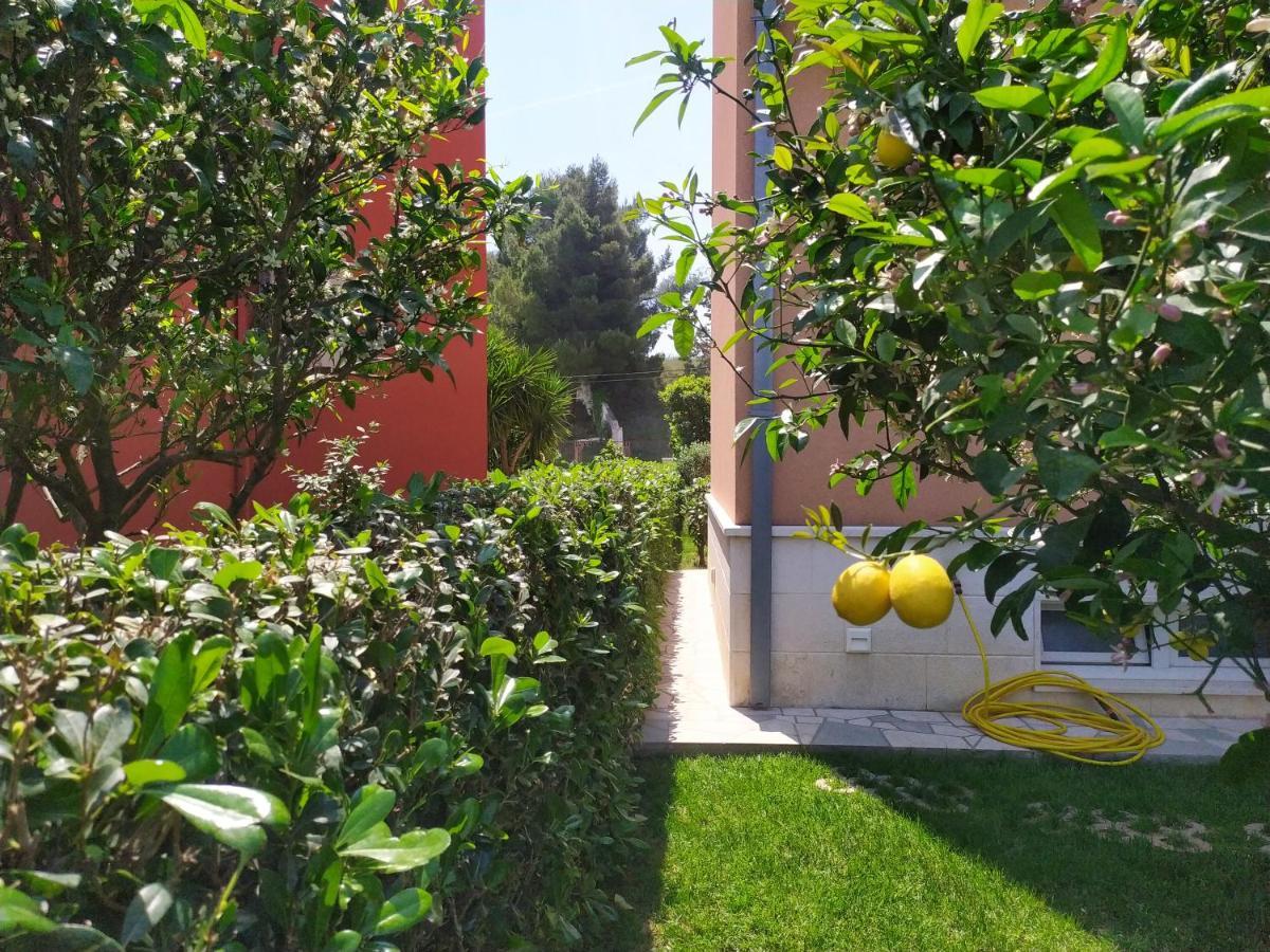 Apartmani Skejic Split Bagian luar foto